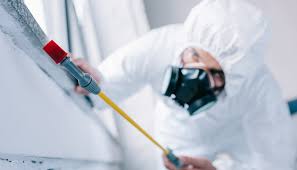 Best Residential Pest Control  in Newcastle, WA